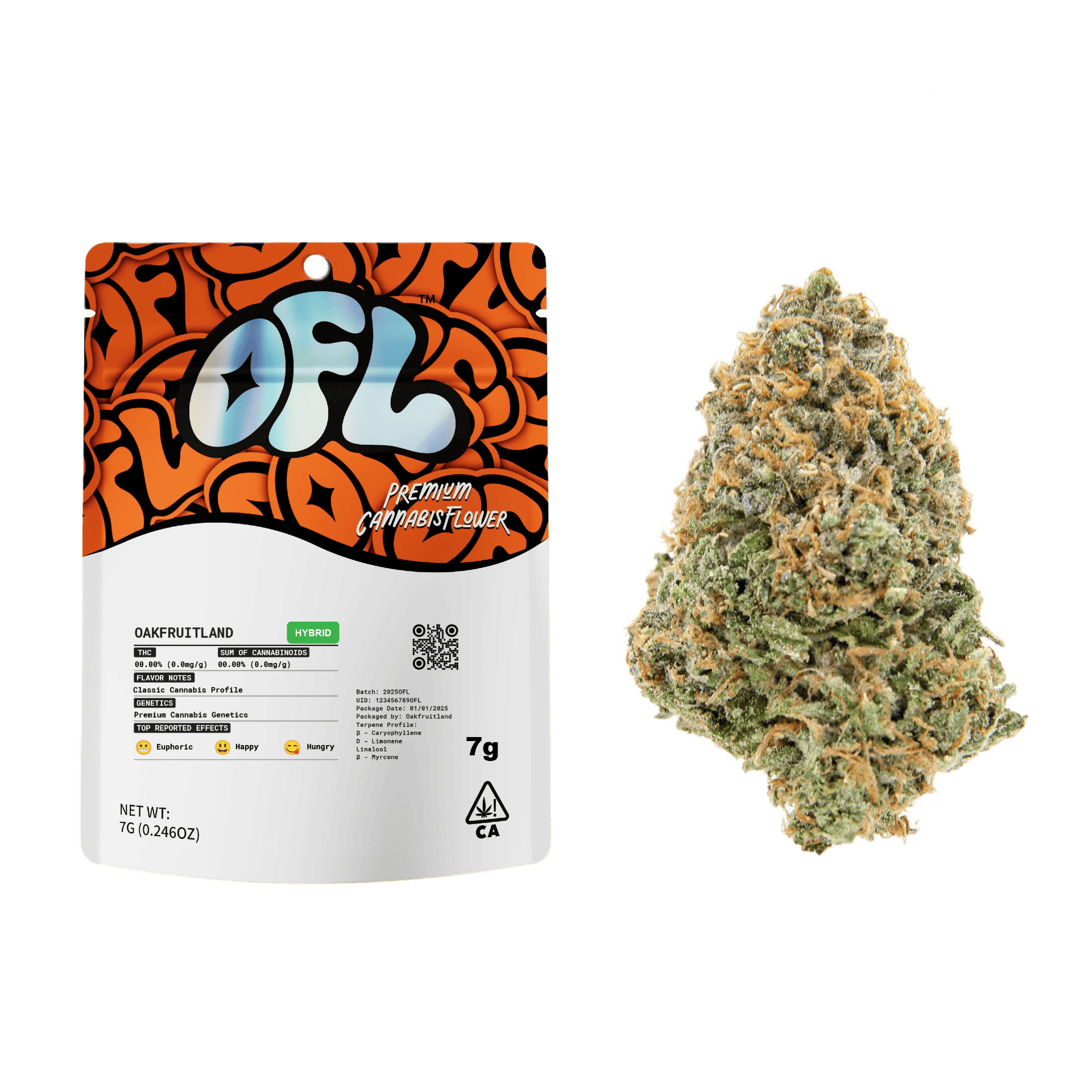 OFL Z