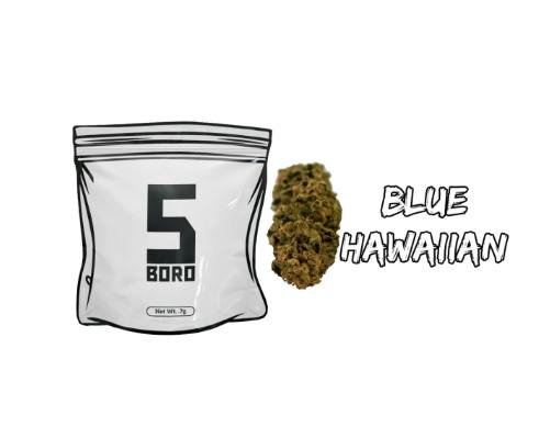 5Boro | Flower | Blue Hawaiian (Hybrid) | .7g