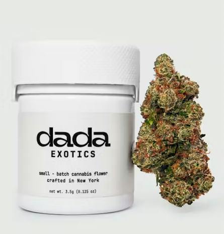 Dada Exotics Sour Headband