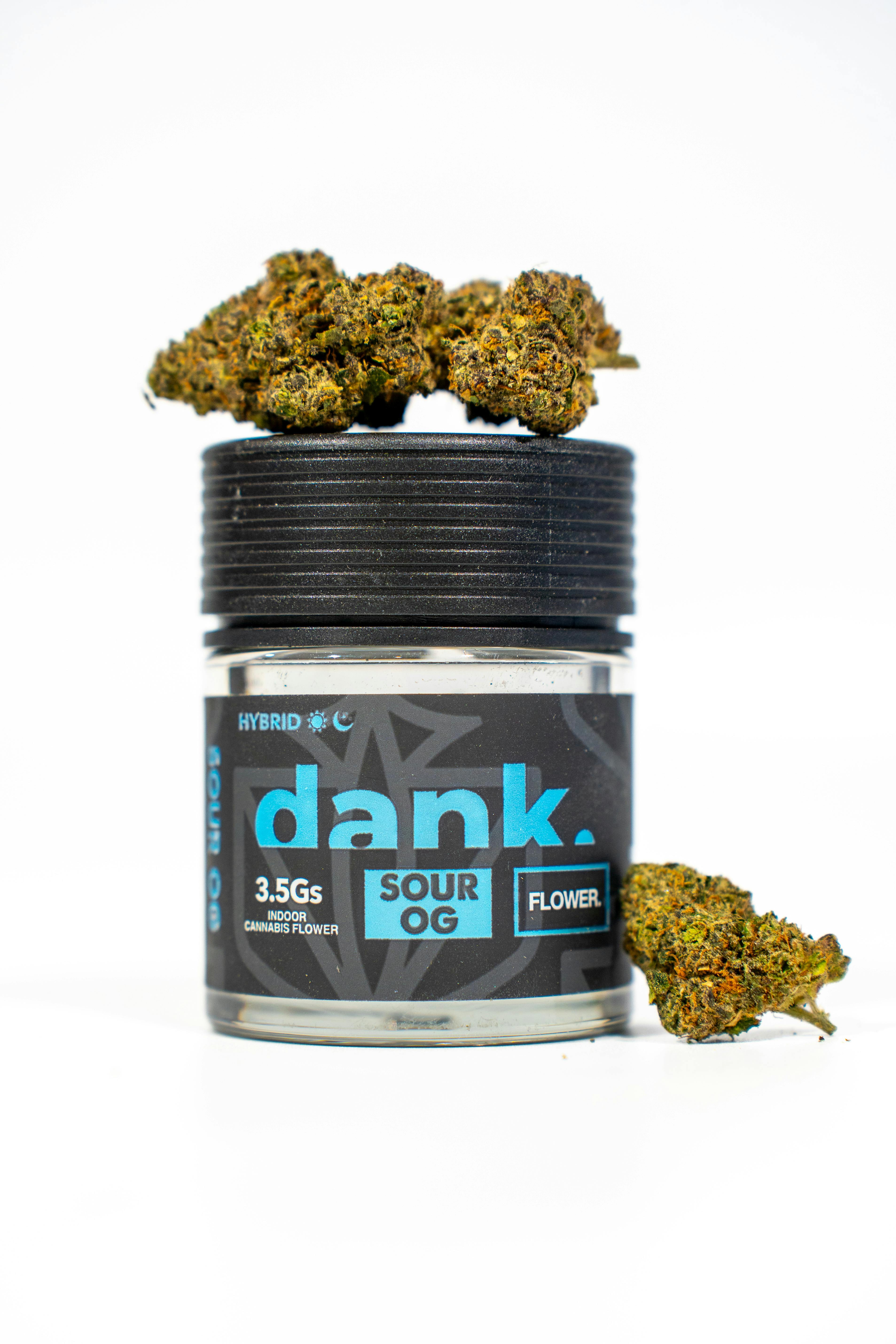 Dank | Flower | Sour OG (Hybrid) | 3.5g
