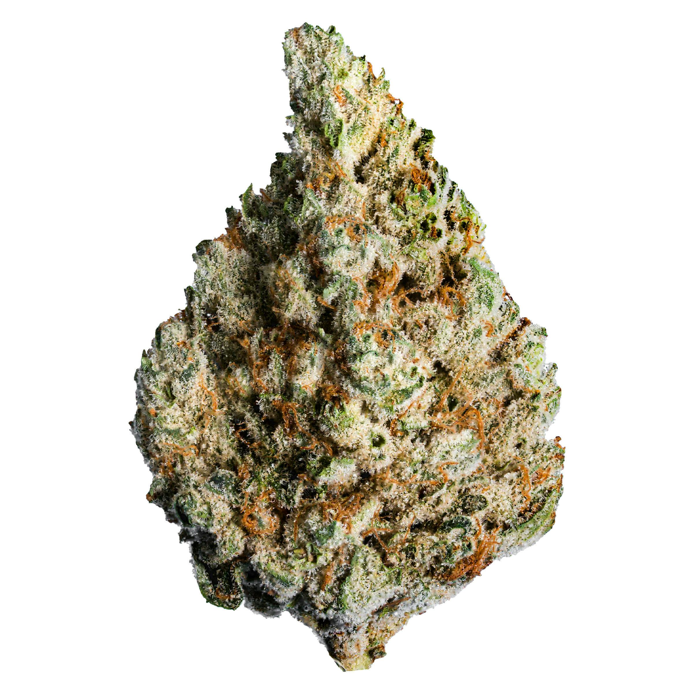 Lotus - Keylime Kush Hybrid - 3.5g