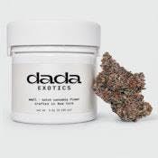 DADA | Neon Sharpie | 3.5g Exotic | S Hybrid | 10-03C