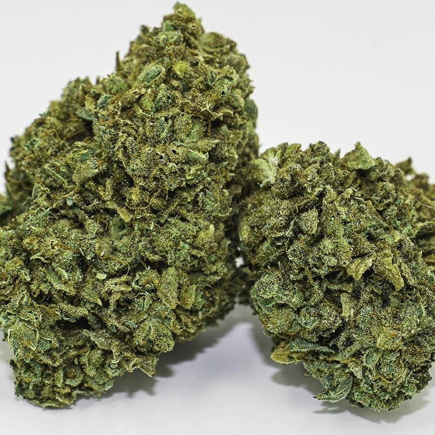 Night Nurse