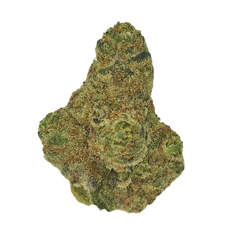 Zero Gravity X Mai Tai (S-Silver)MED