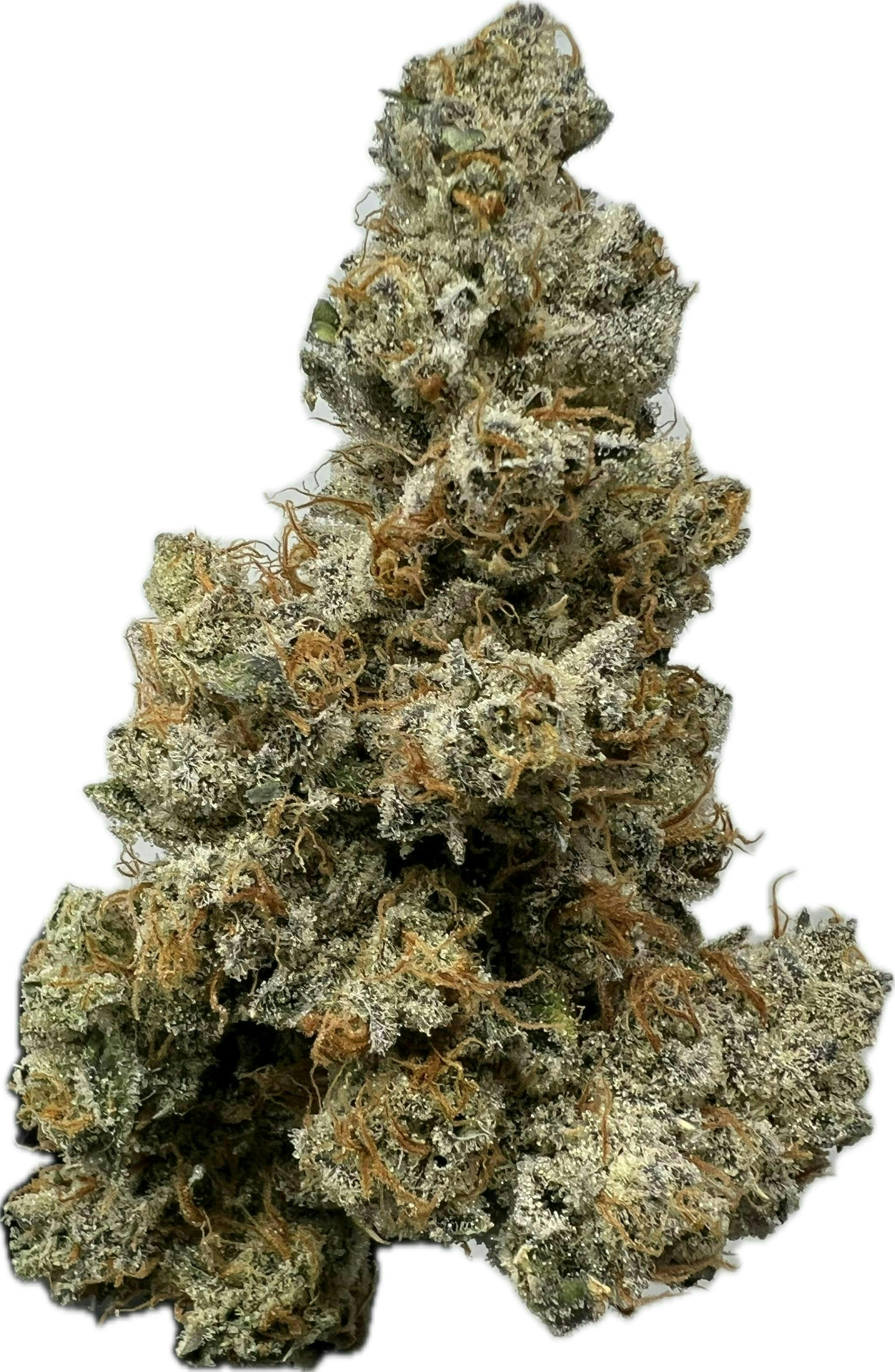 Comet Cookies - Freedom Green
