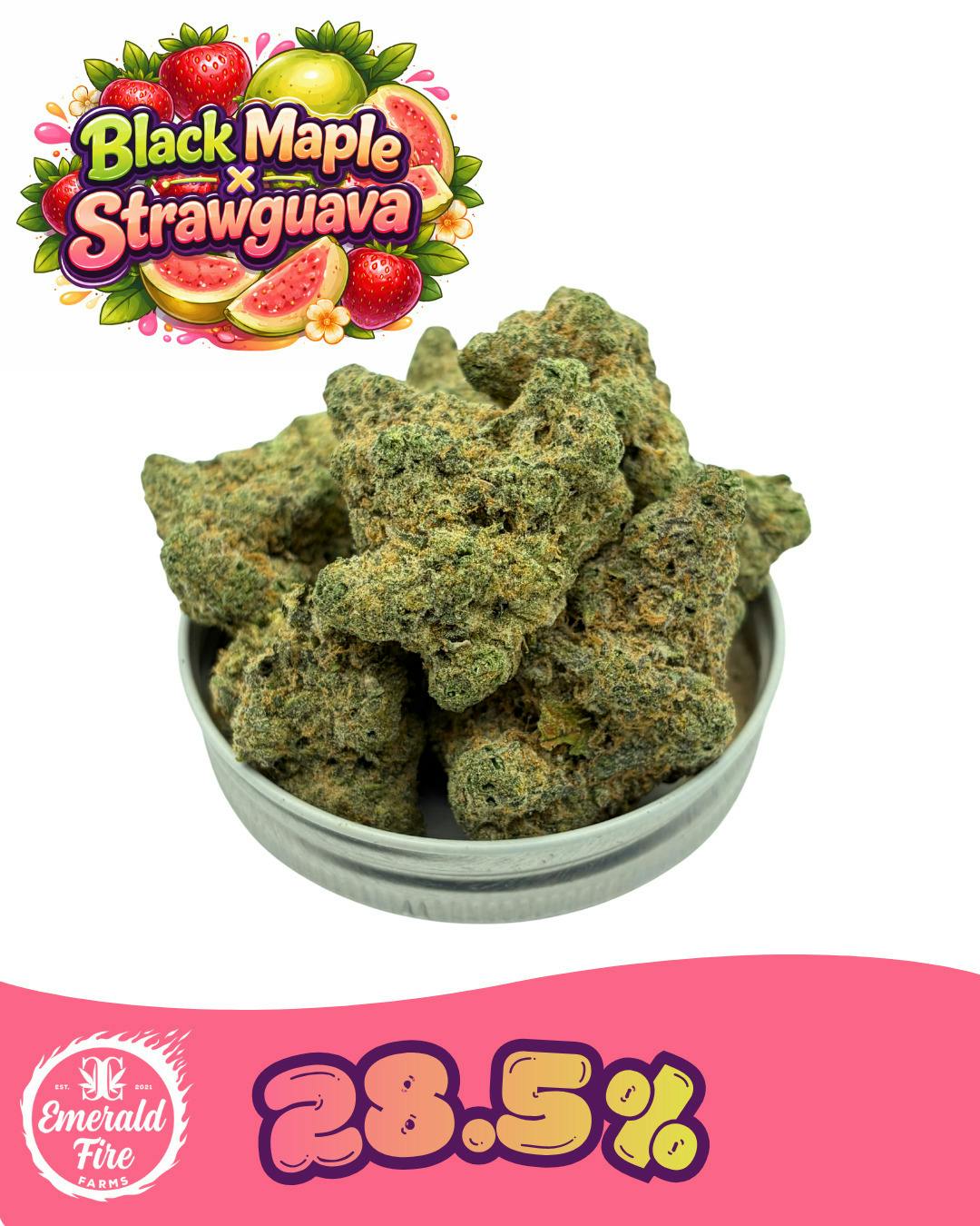 Black Maple x Strawberry Guava - Emerald Fire Farms at Emerald Fire Farms and Provisioning Center