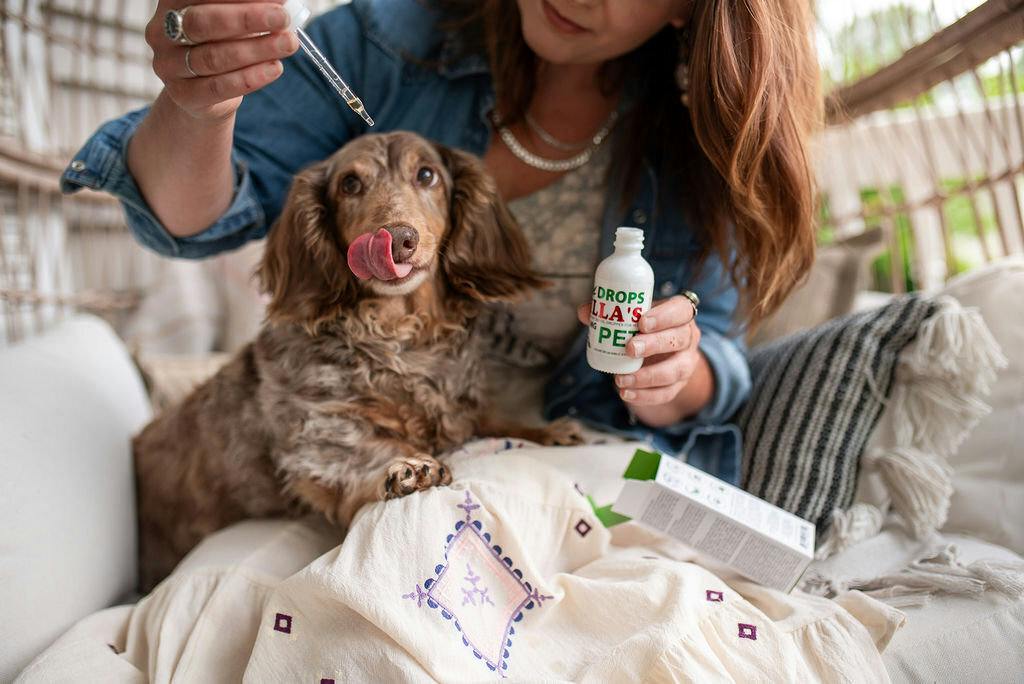 Zilla's Full Spectrum CBD Pet Drops 2,