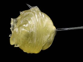 DRIP- LIVE ROSIN HASH-SOUR PUNCH- 1G