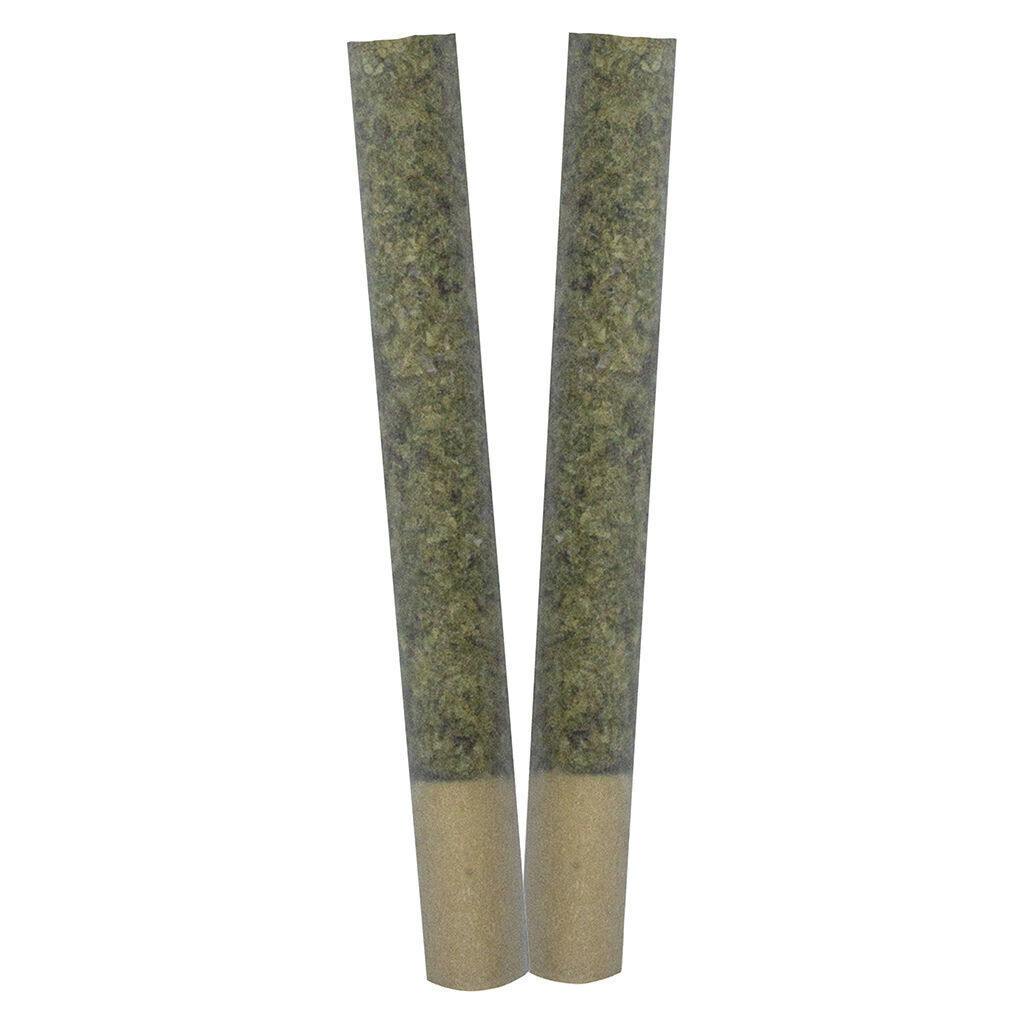 TRYGG - IGNITE Pre-Roll - Sativa - 2x1g