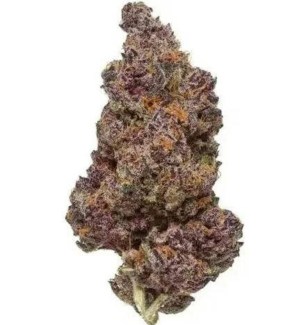 Tropicana Cherry | Flower Case | Pre-Packed 4g (Campfire Cannabis) at Winona Dispensary | Local Cannabis Dispensary