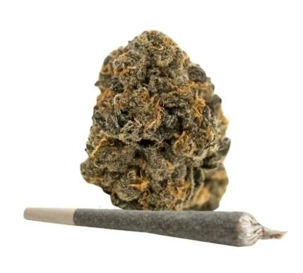 Gary Payton | 1g | Pre-roll- Campfire Cannabis at Winona Dispensary | Local Cannabis Dispensary