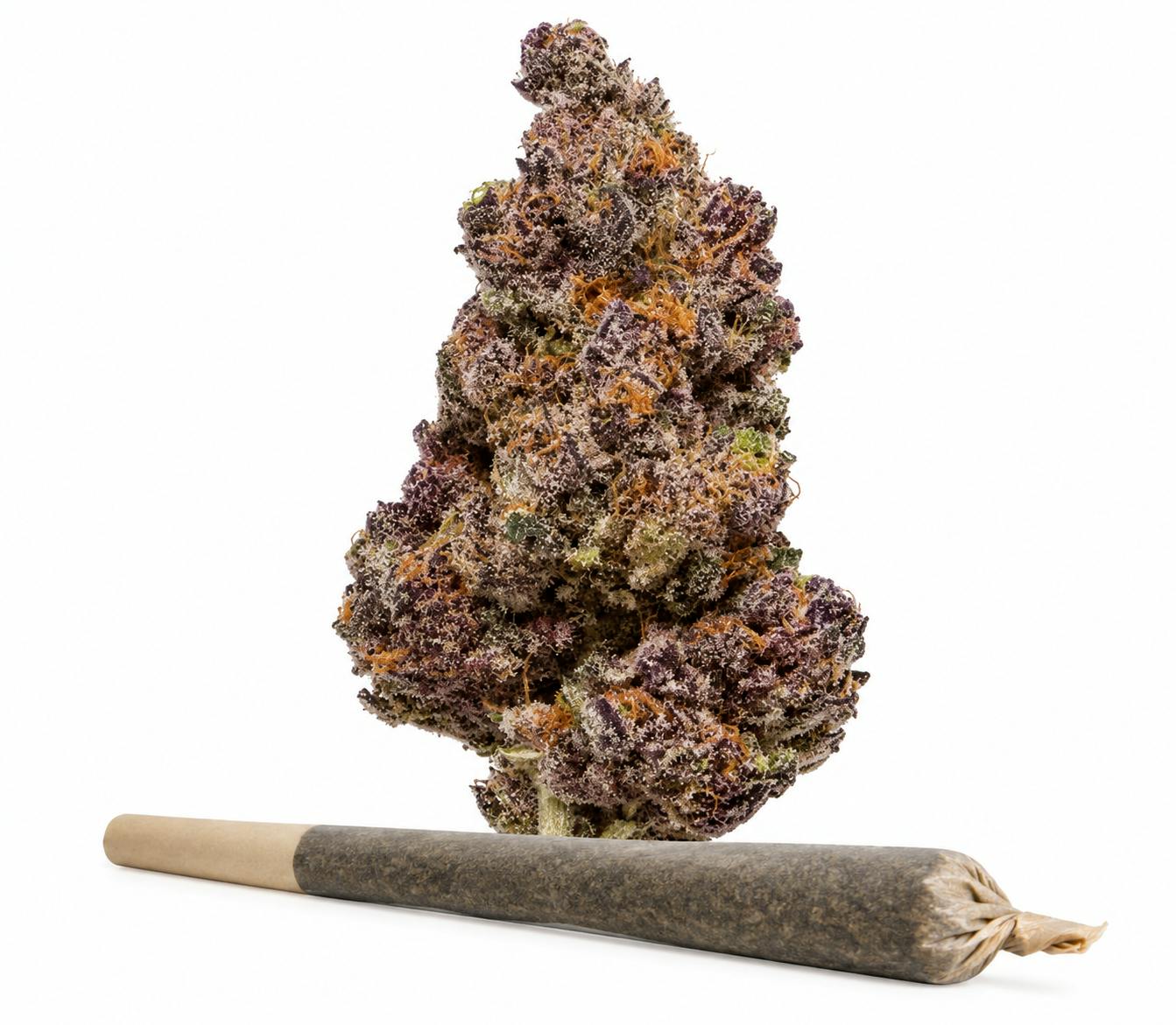 Campfire Cannabis- Tropicana Cherry | 1g Case | Pre-roll (Raw Pre-Rolls) at Winona Dispensary | Local Cannabis Dispensary