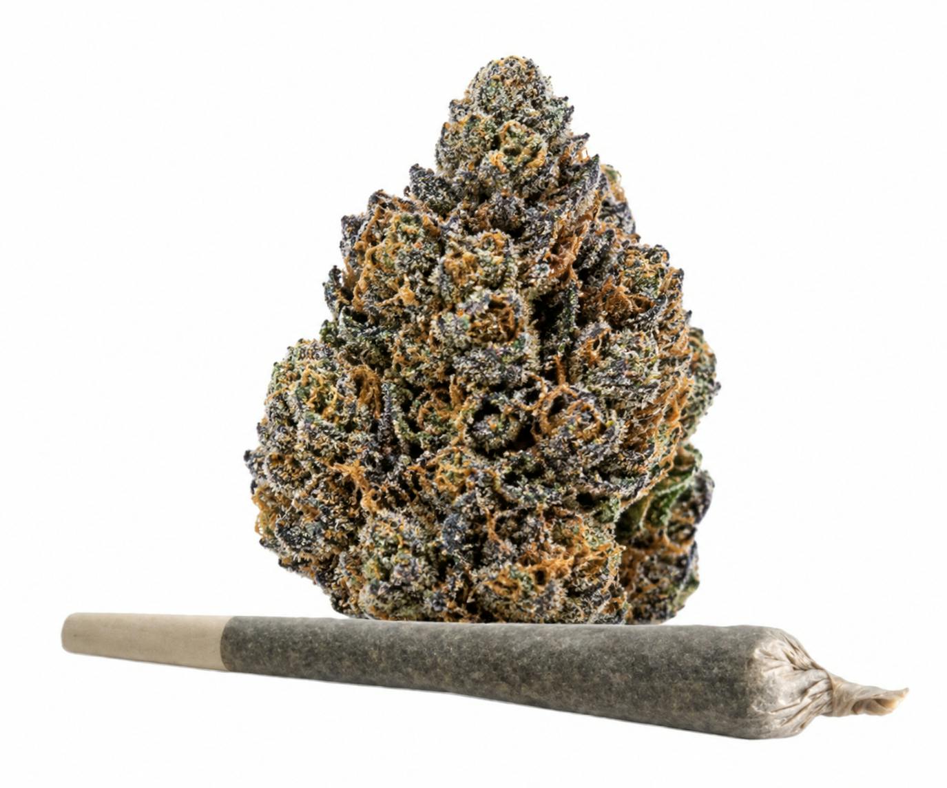 Campfire Cannabis- Cap Junky | 1g Case | Pre-roll (Raw Pre-Rolls)