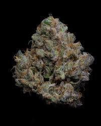 King Louie: Louis Xiii