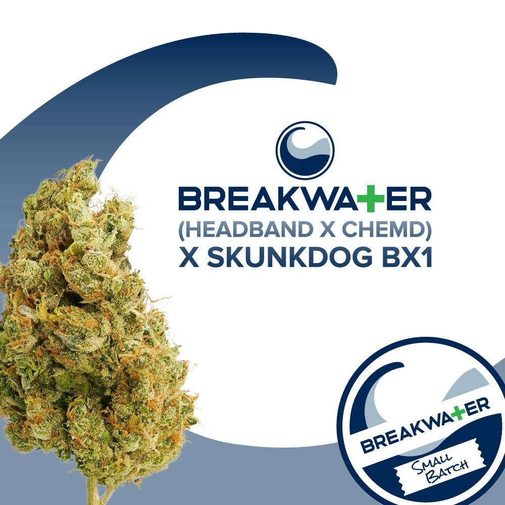 Breakwater (Headband x ChemD) x Skunkdog Bx1 Flower 3.5g
