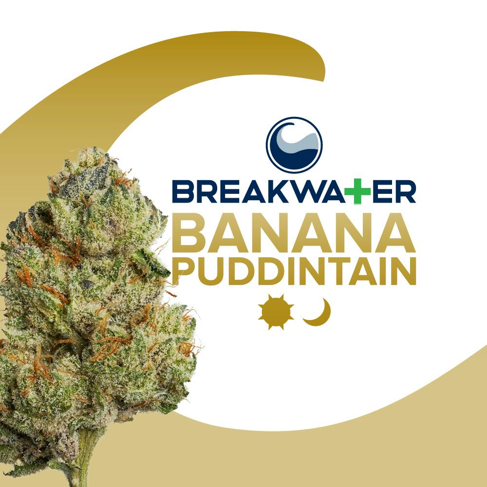 Breakwater Banana Puddintain Flower 3.5g