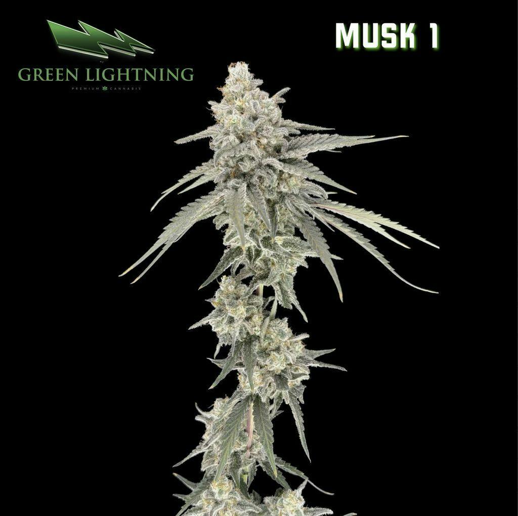 Green Lightning MUSK 1 Flower 28g