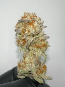 Bass River BUDS Platinum Dolato Flower 3.5g