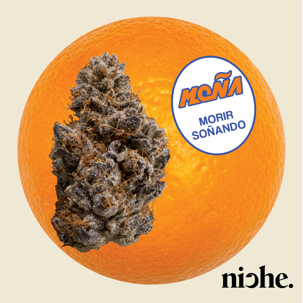 Mona X Niche | Morir Sonando Flower 3.5g