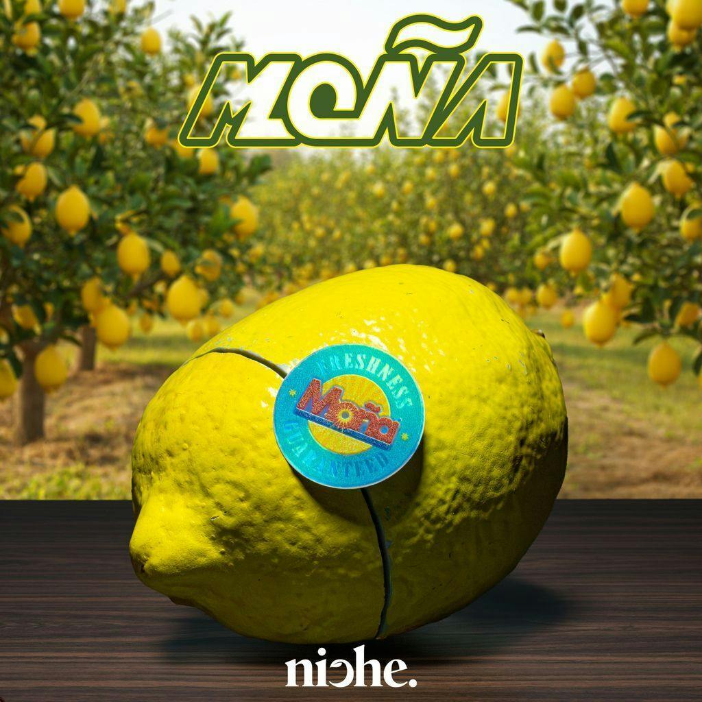 Mona X Niche | Citrico Flower 3.5g