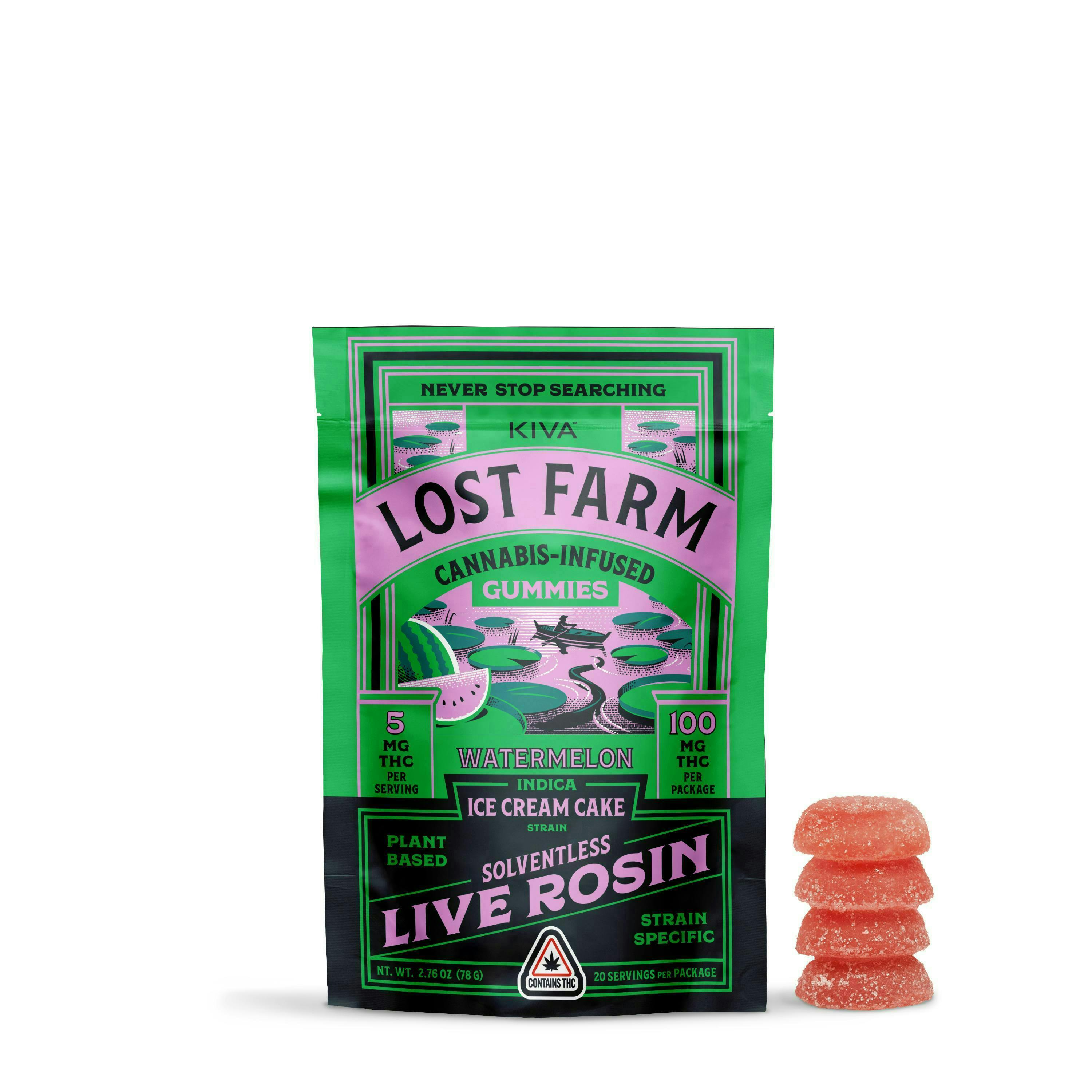 Lost Farm: Ice Cream Cake