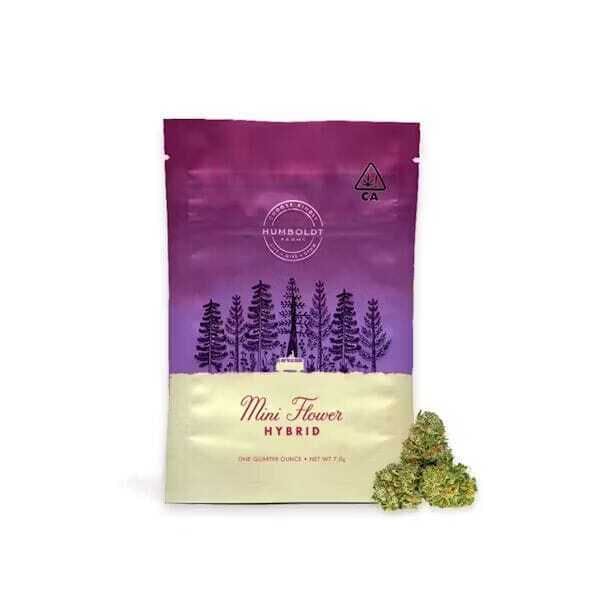 Humboldt Farms - Grape Chimera — Mini