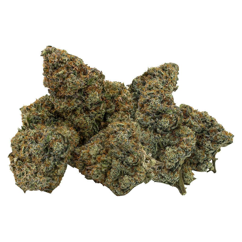 East Coast Animal 14g