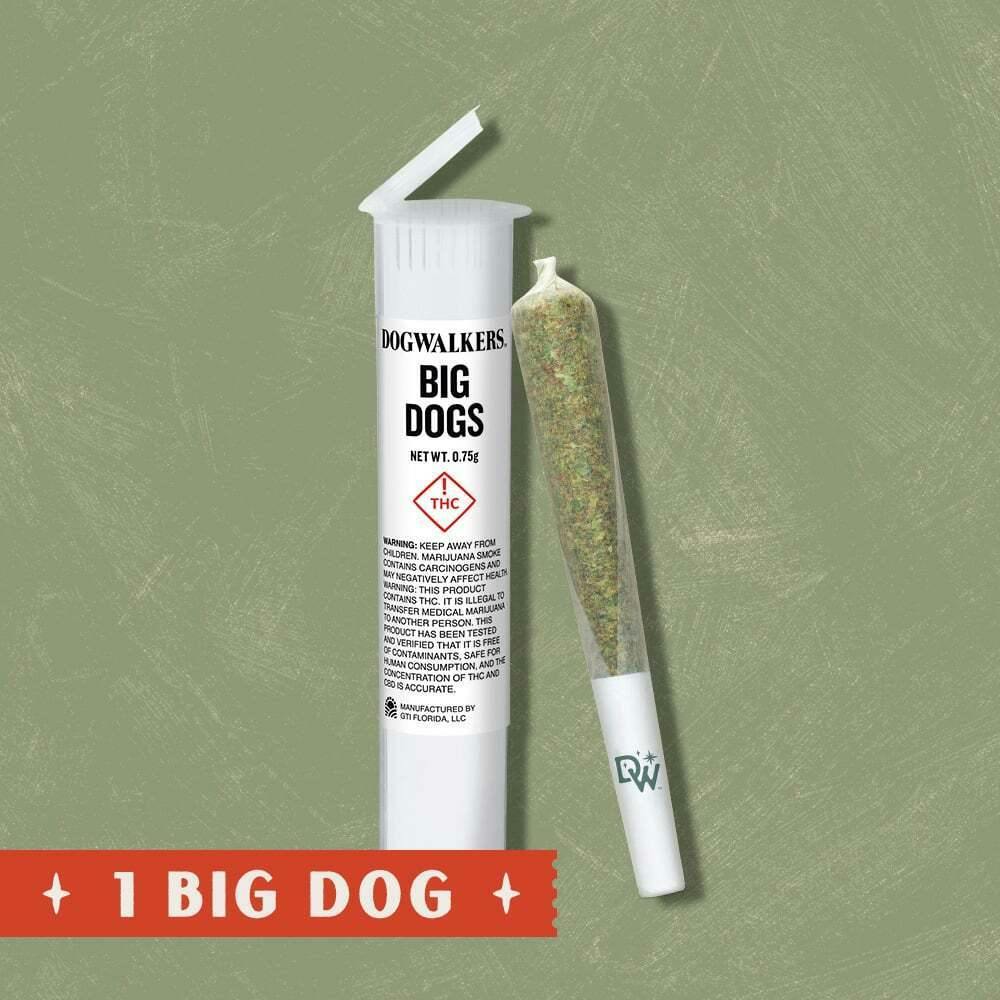 Spritzer [.75g] | Dogwalkers - Big Dog