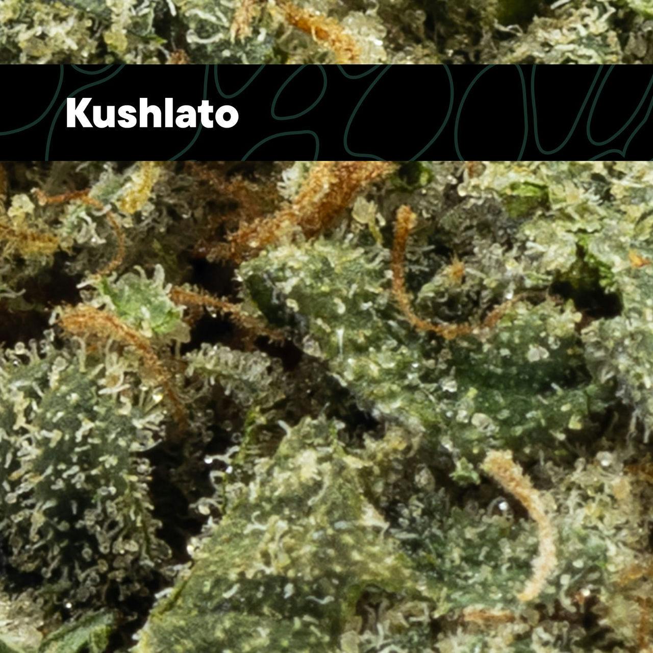 Kush Lato Flower