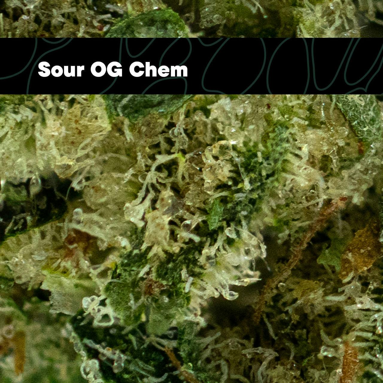 Sour OG Chem Flower