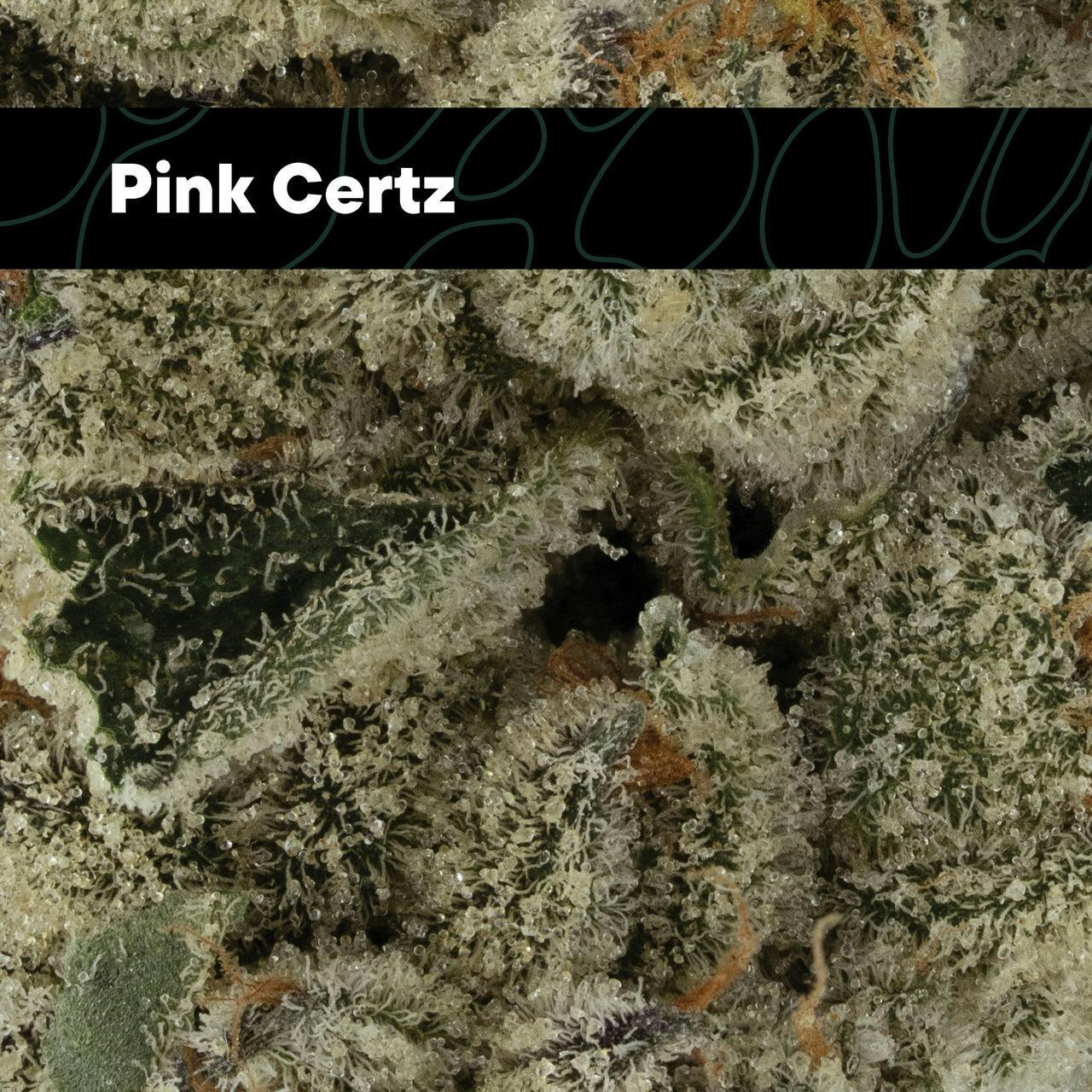 Pink Certz Flower