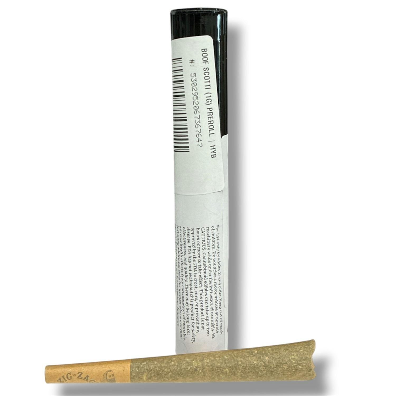 Boof Scotti (1G) Preroll | Hybrid
