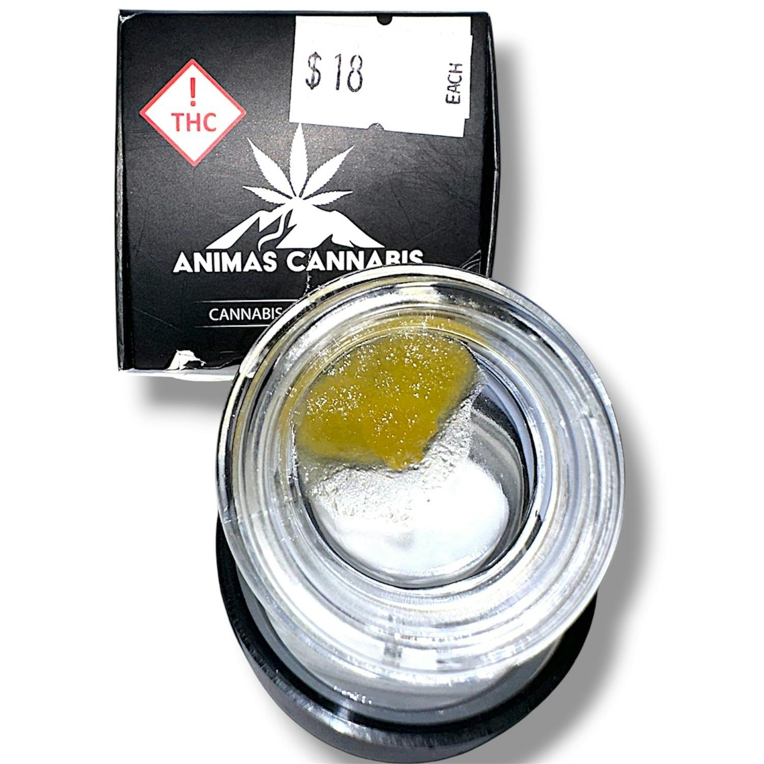 Cap Junky (1G) | Sugar | Hybrid at Hii Experience