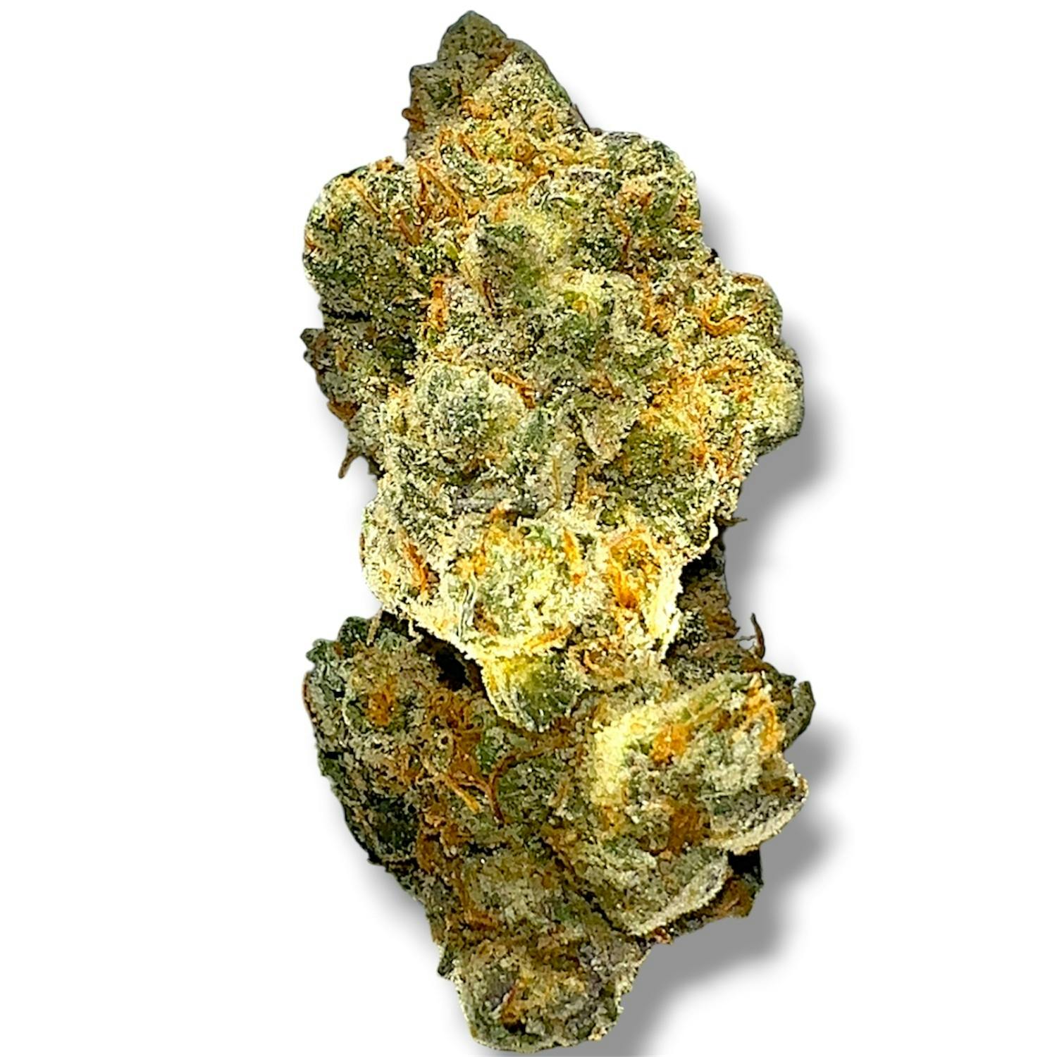 Canal St Runtz | Hybrid
