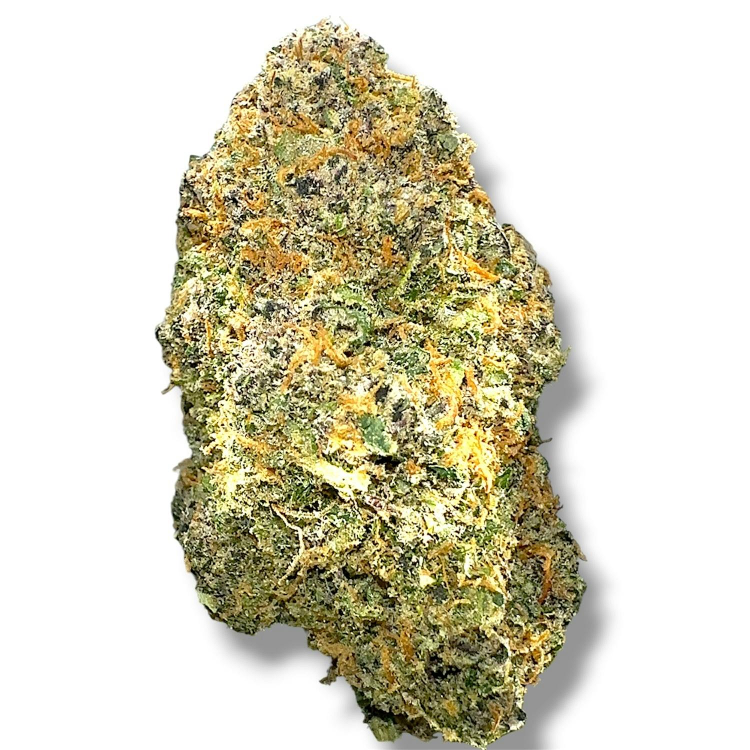 BoofScotti | Hybrid