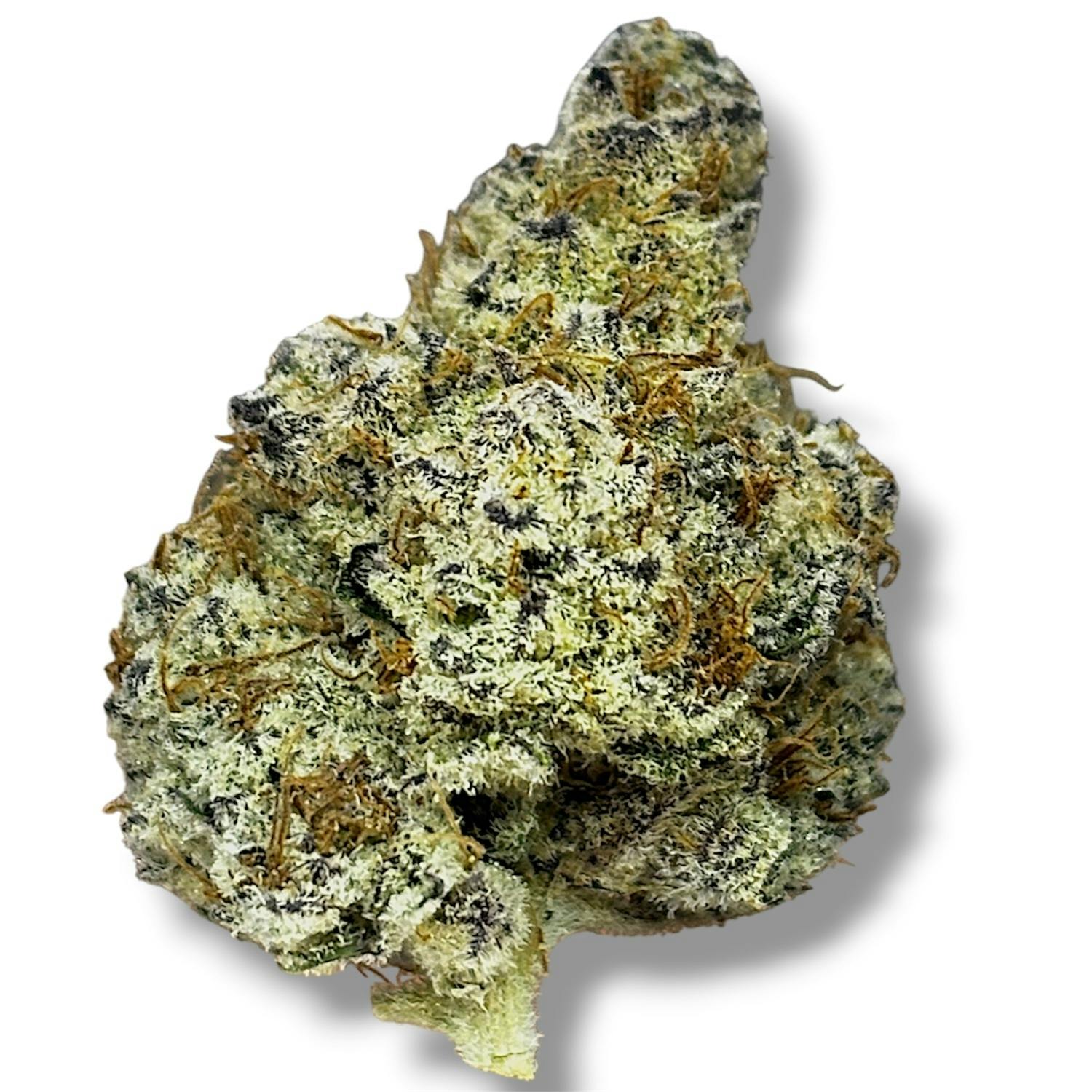 Dantes Inferno | Indica