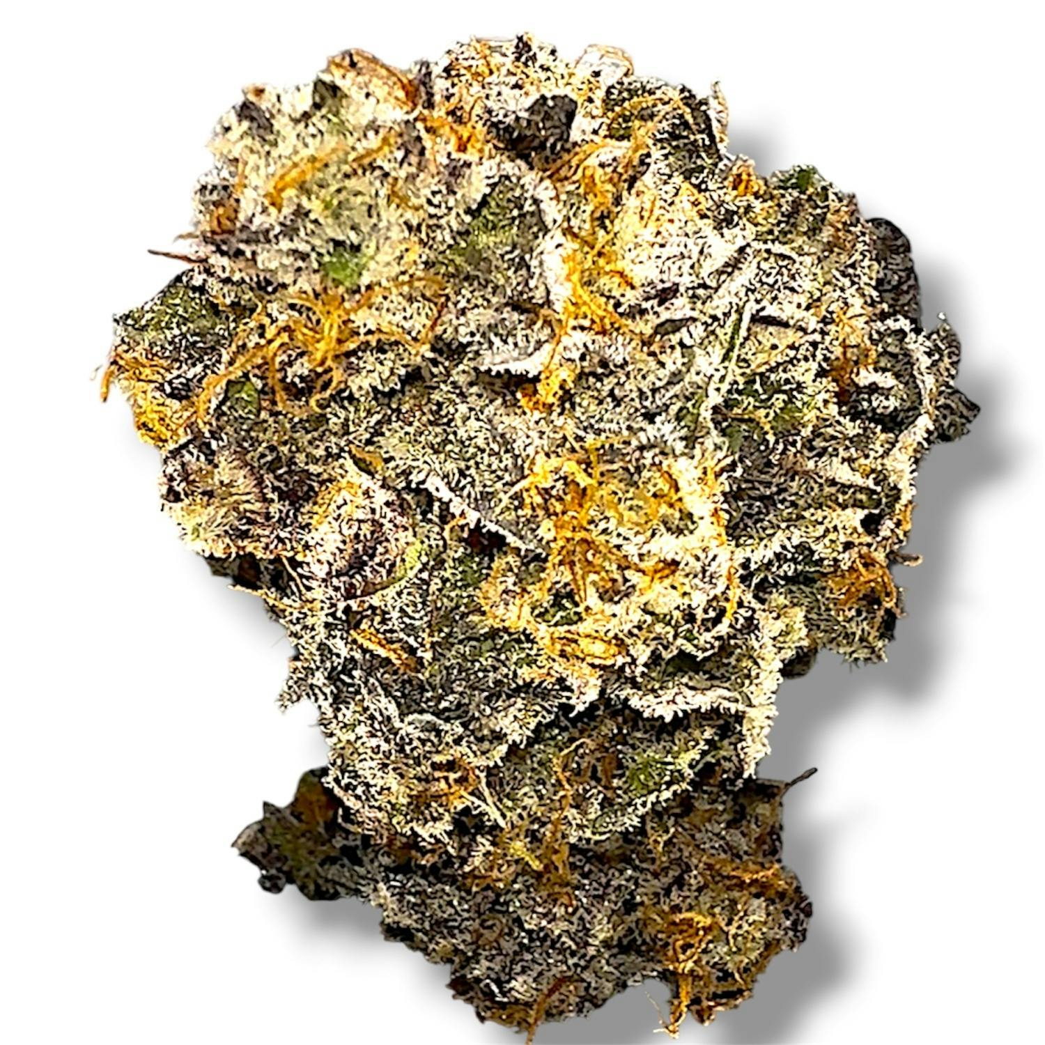 Purple Pebbles | Hybrid