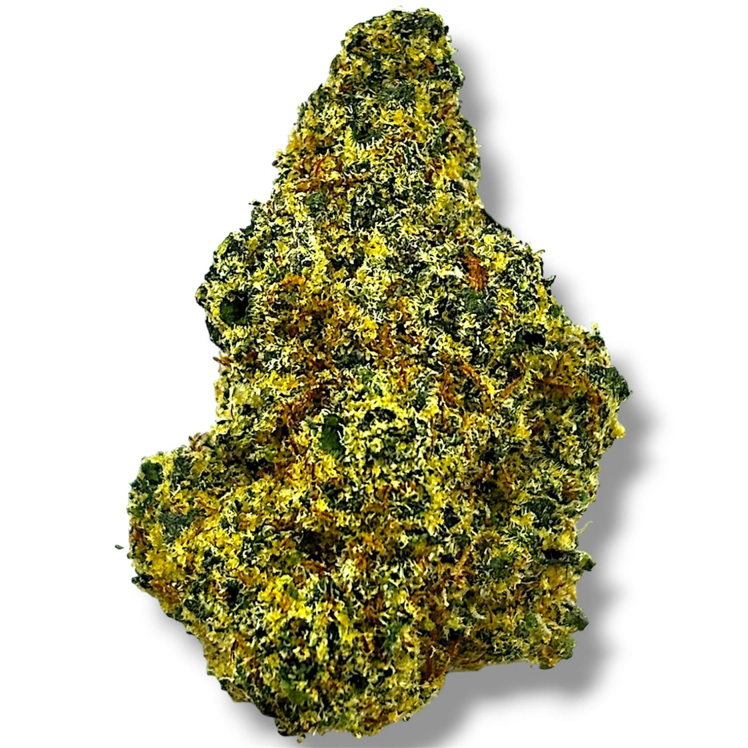 Pistachio | Hybrid