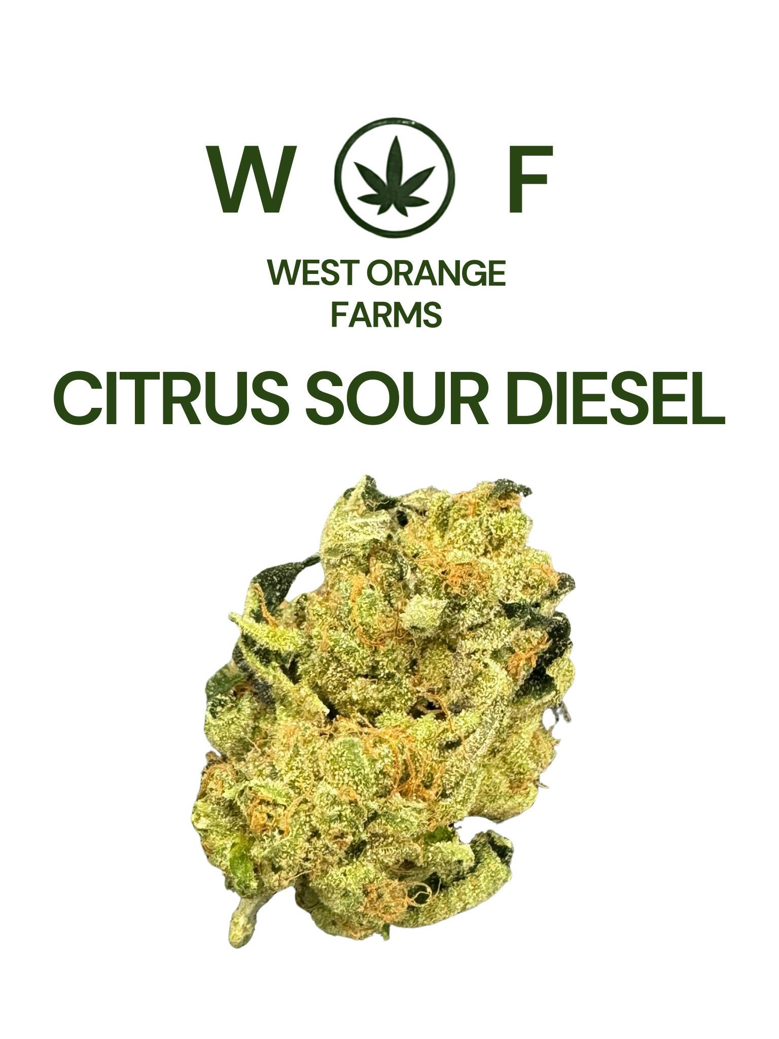Citrus Sour Diesel | 3.5g