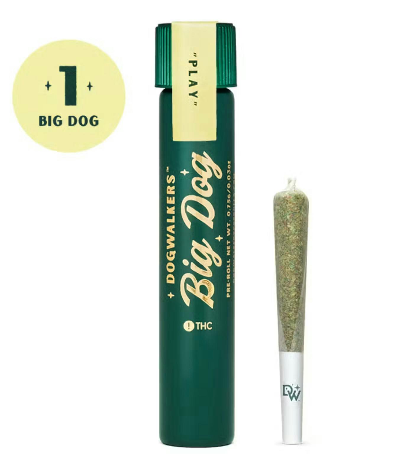 Jacks Delight | 1pk | 1g