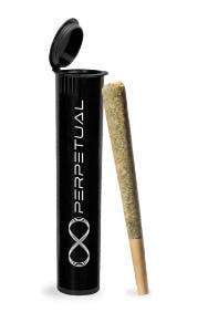 PREROLL - Artificial Red #5 (I) at JDM Cannabis
