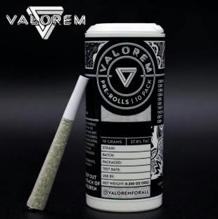 10 PACK - Cosmic Citrus (S) 1g Preroll