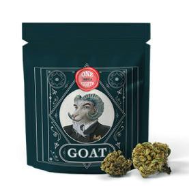 BUDS - Rainmaker (I) at JDM Cannabis