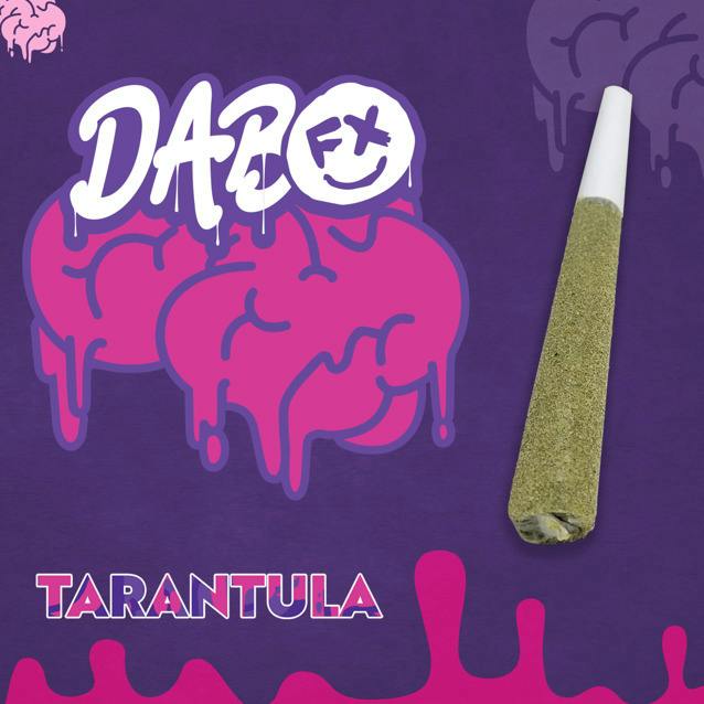 PREROLL - Starburst Kush (I) 1g Tarantula Infused at JDM Cannabis