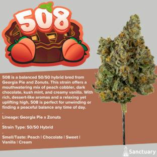 BUDS - 508 (H)