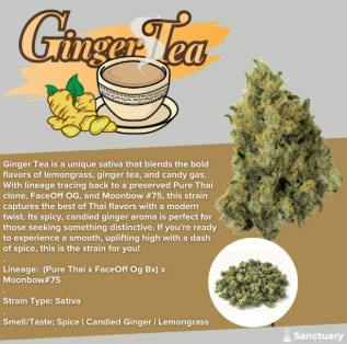 BUDS - Ginger Tea (S)