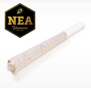 PREROLL - Bernscotti (H) at JDM Cannabis