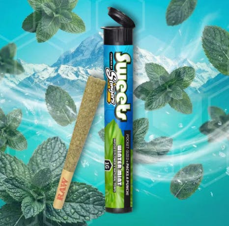 Winter Mint | Infused Joint | 1g at JDM Cannabis