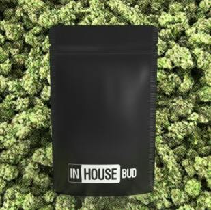 BUDS - Fog Lights (H)