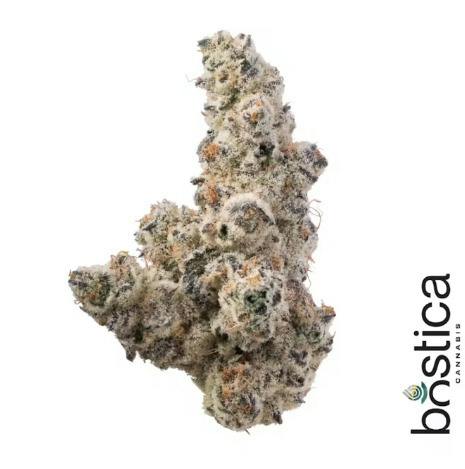 BUDS - Drip (H) 28g Popcorn Buds